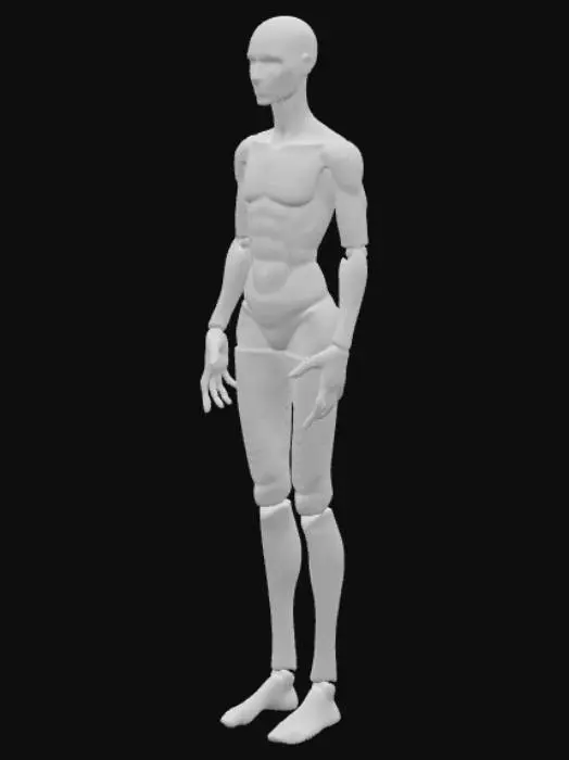3D model for Mannequin Model