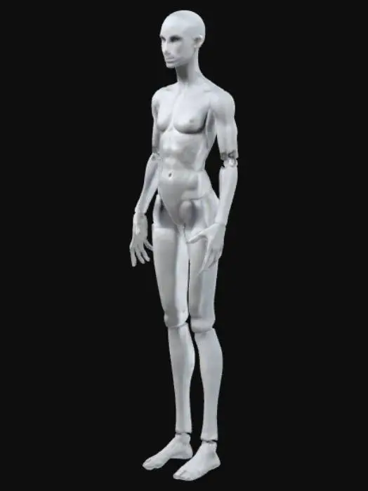 3D model for Mannequin Model