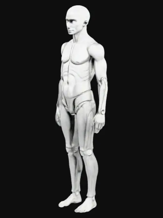 3D model for Mannequin Form
