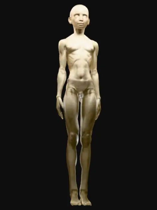 3D model for Articulated Human Sculpture
