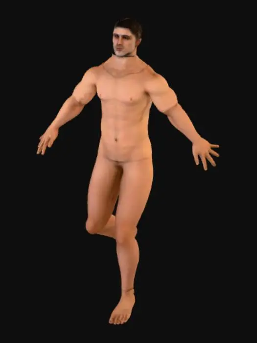 3D model for malenude