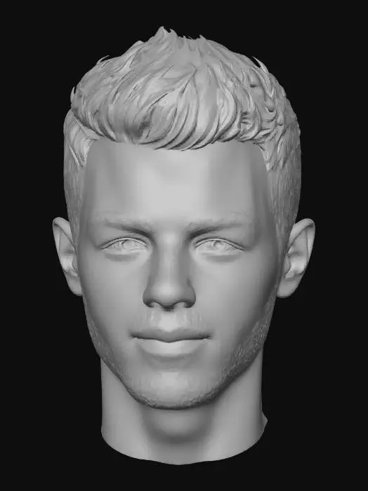 3D model for Mysterious Portrait