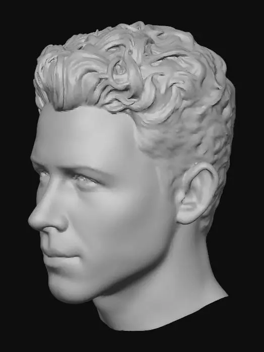 3D model for Portrait of a Young Man