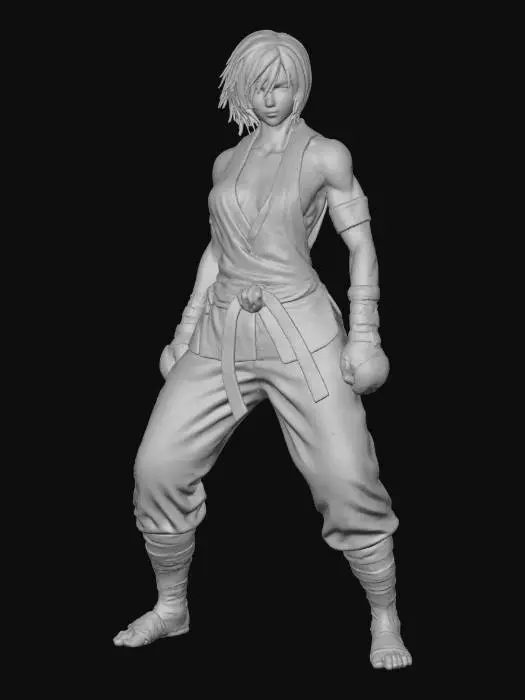 3D model for Fighter's Resolve