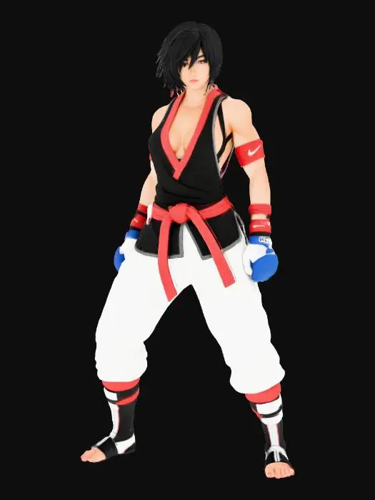 3D model for Fighter's Resolve