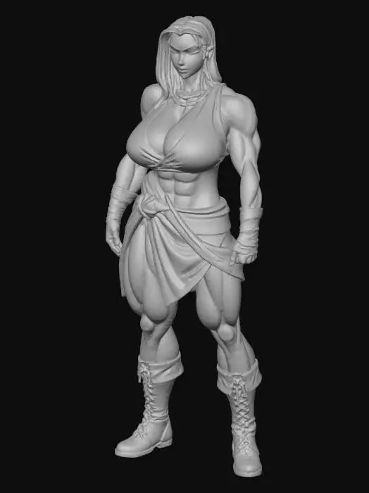 3D model for Warrior's Resolve