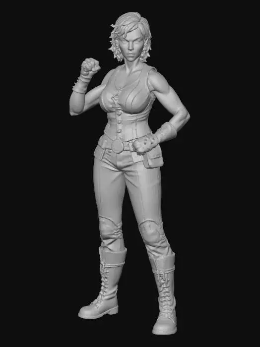 3D model for Mechanic's Resolve