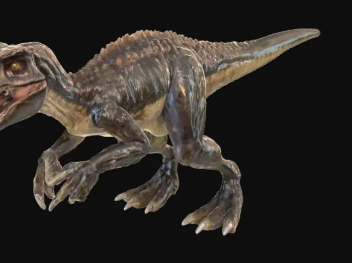 3D model for Velociraptor 