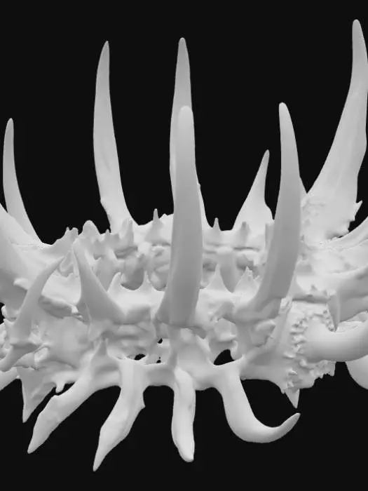 3D model for The Crown of the Abyss Queen

Crafted from the polished bones of abyssal creatures and spirals of blackened gold, this crown is adorned with shards of star-crystal that shimmer with their own light. Its prongs curve like the hooks of deep-sea predators, each tip glowing with an almost impossible shade of blue. Stare long enough, and constellations seem to form and fade within the gems, hinting at forgotten maps of the heavens.