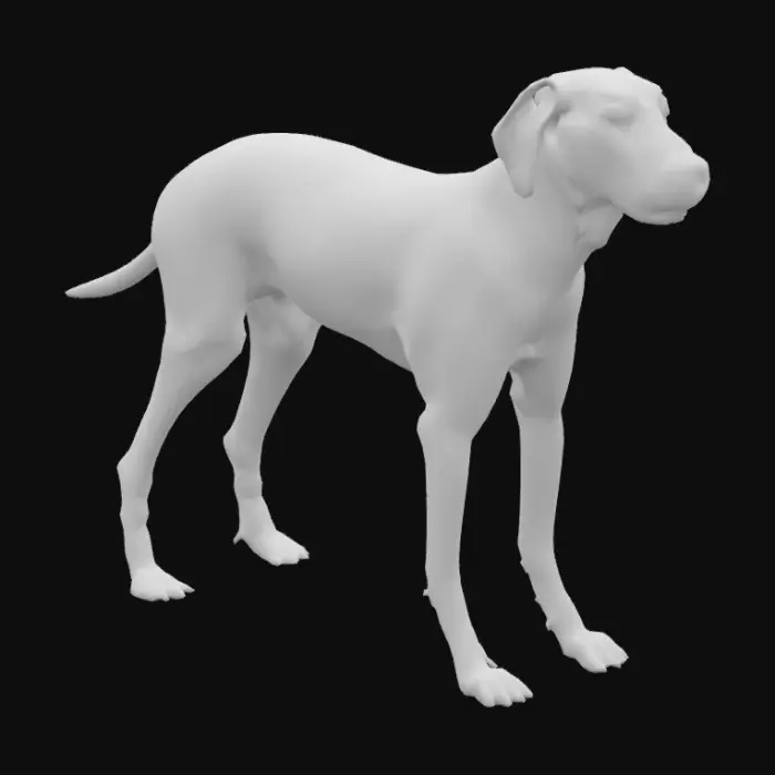 3D model for Black great dane
