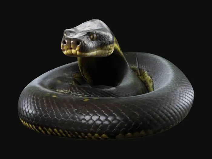 3D model for A huge anaconda snake 