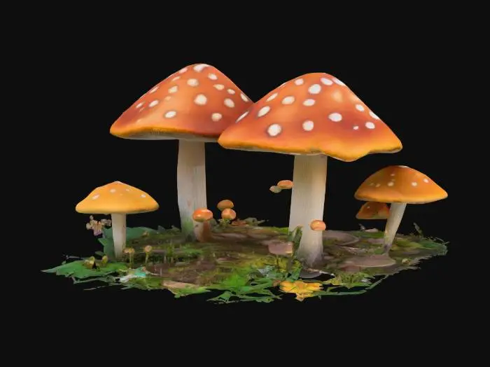 3D model for A beautiful mushroom garden with a tiny beautiful fairy sitting in the middle round base , #garden#,  