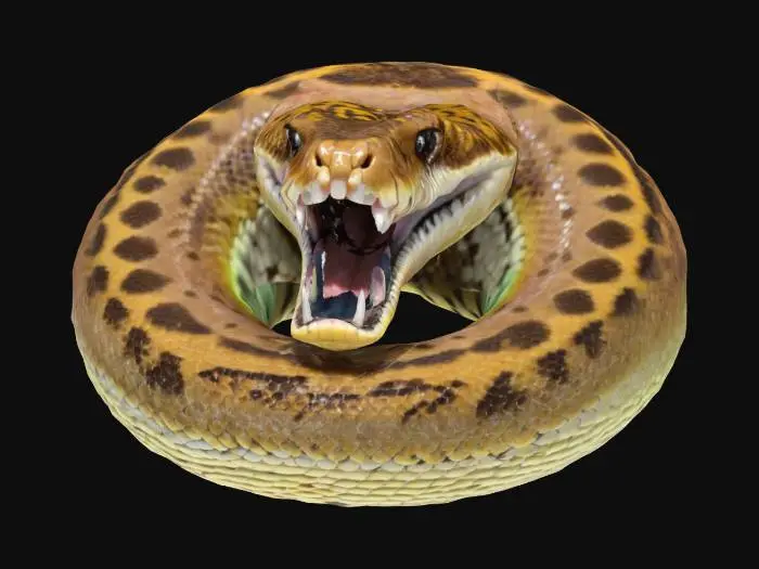 3D model for [Utah] giant Dimond back rattlesnake huge head open mouth his fangs have drips of venom on the very tip, he is coiled up with his rattle in the center , #AroundTheWorld#