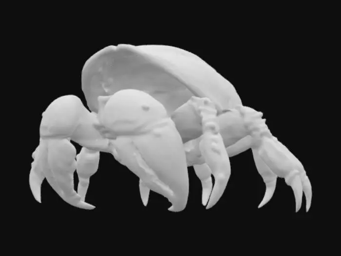 3D model for beautiful conk seashell hermit crab, #ocean#