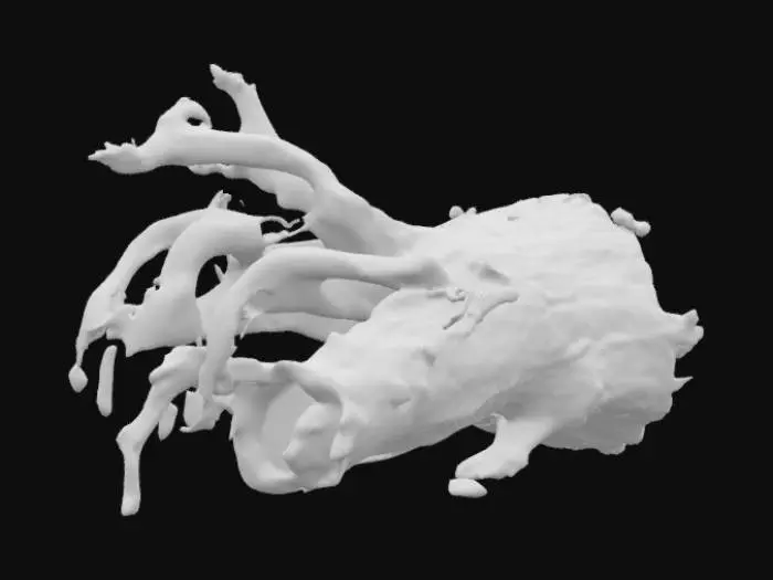 3D model for Highly detailed fallen tree no branches game asset