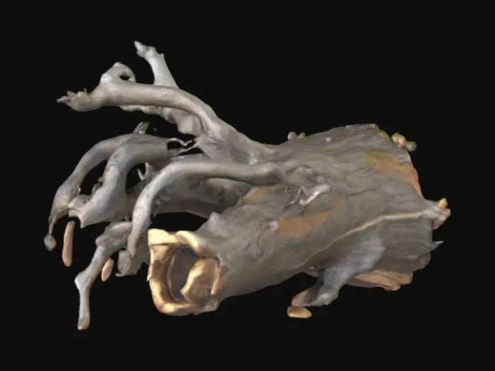 3D model for Highly detailed fallen tree no branches game asset