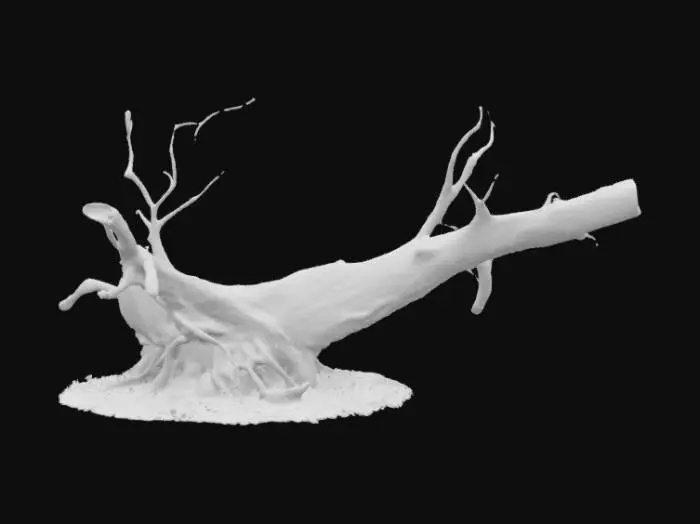 3D model for Highly detailed fallen tree no branches game asset