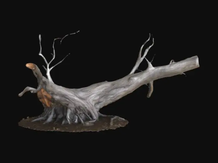3D model for Highly detailed fallen tree no branches game asset