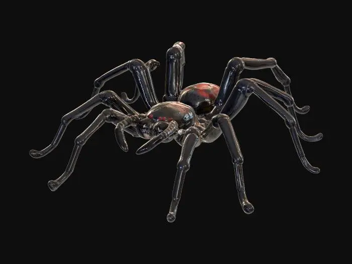 3D model for A black widow spider shiny body almost wet looking , #PBR#