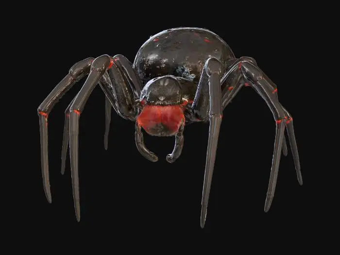3D model for A black widow spider shiny body almost wet looking ,, #PBR#