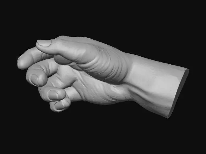 3D model for A highly detailed male hand