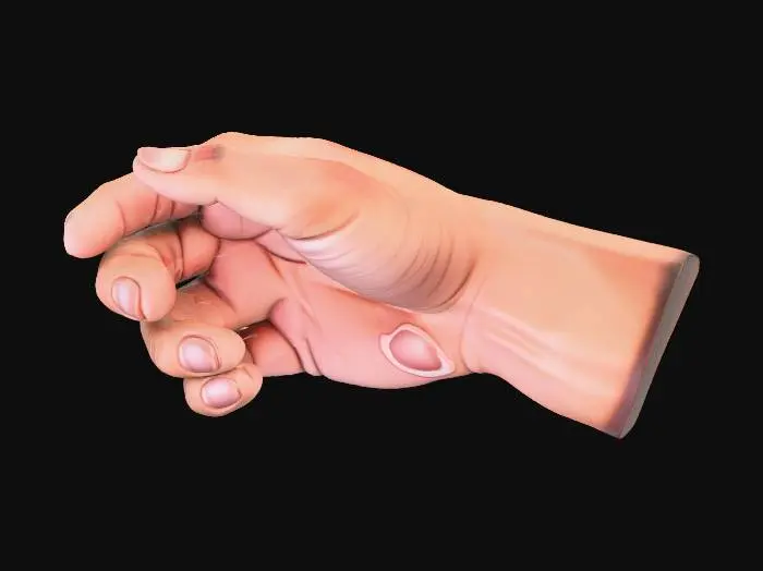 3D model for A highly detailed male hand