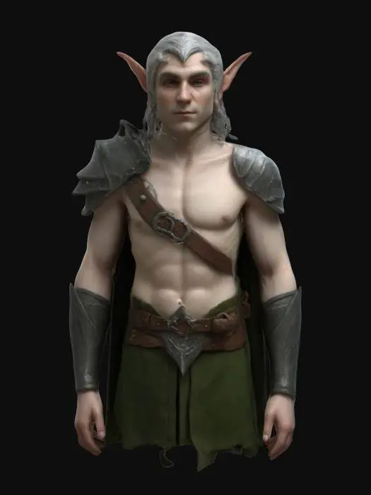 3D model for Medieval, Highly Detailed, male elf upper body 