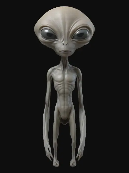 3D model for Basic gray alien almond shape head. Skinny skinny Long legs and arms small oval body highly detailed ultra-realistic 