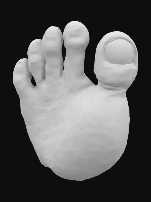 3D model for A toe a huge toe ugly toenail 