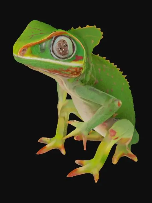 3D model for [Madagascar]  'Brookesia' leaf chameleon warrior , #AroundTheWorld#,  