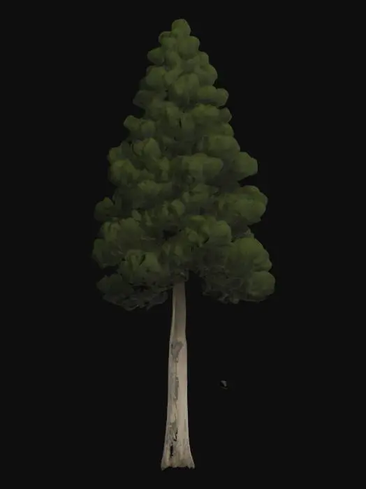 3D model for Cypress tree 