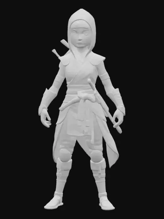 3D model for Ninja Warrior Princess