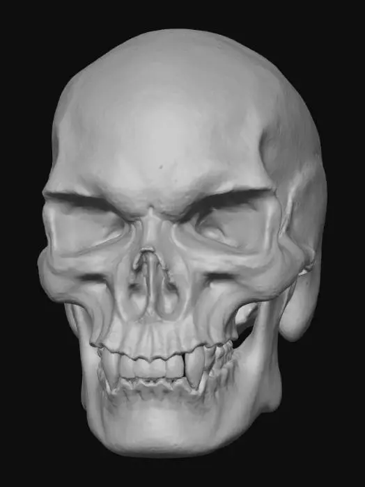 3D model for Ancient Echoes