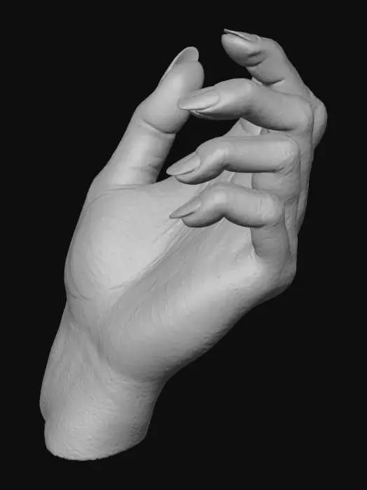 3D model for A highly detailed female hand