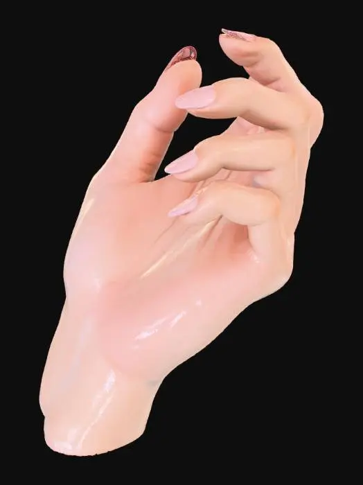 3D model for A highly detailed female hand
