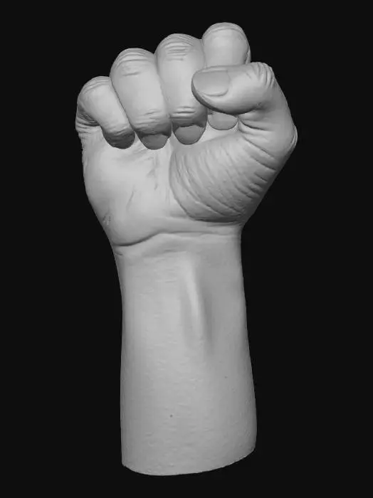 3D model for A perfect fist ✊👊