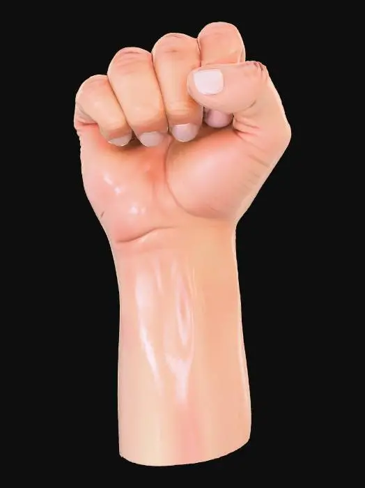 3D model for A perfect fist ✊👊