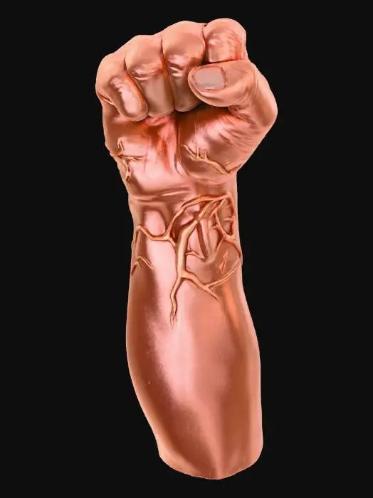 3D model for I want to create a fist ✊👊