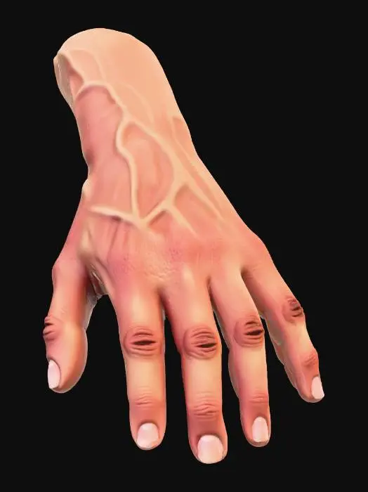 3D model for A highly detailed male hand
