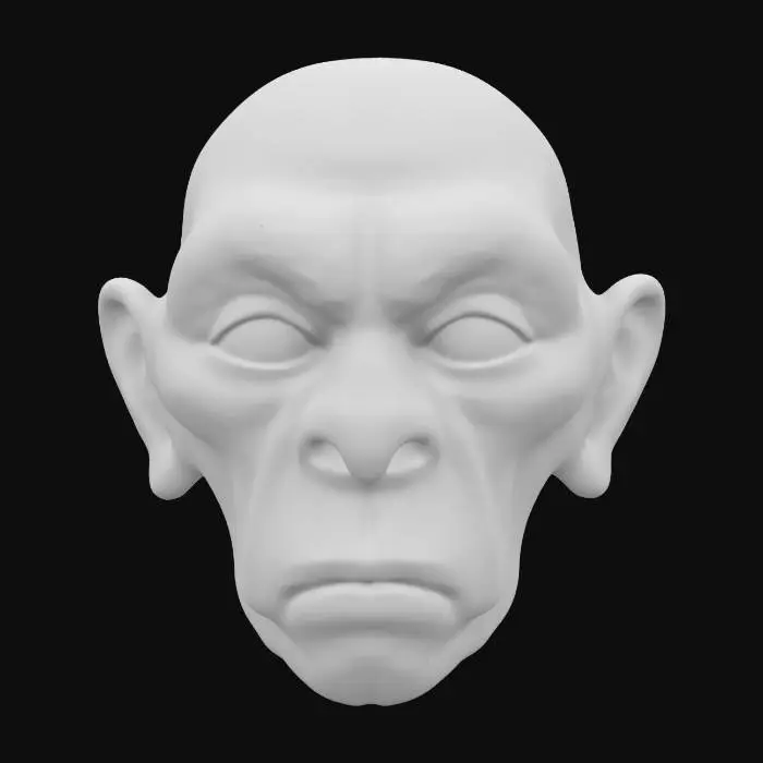3D model for Highly Detailed, A shrunken head