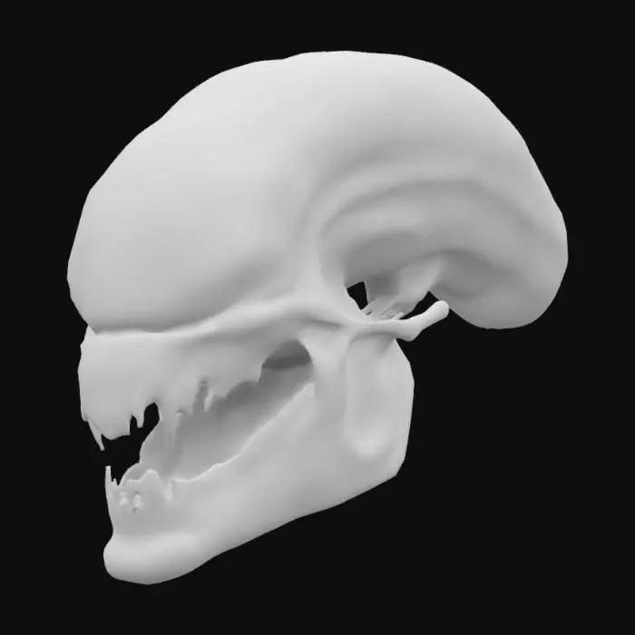 3D model for Medium poly xenomorph skull