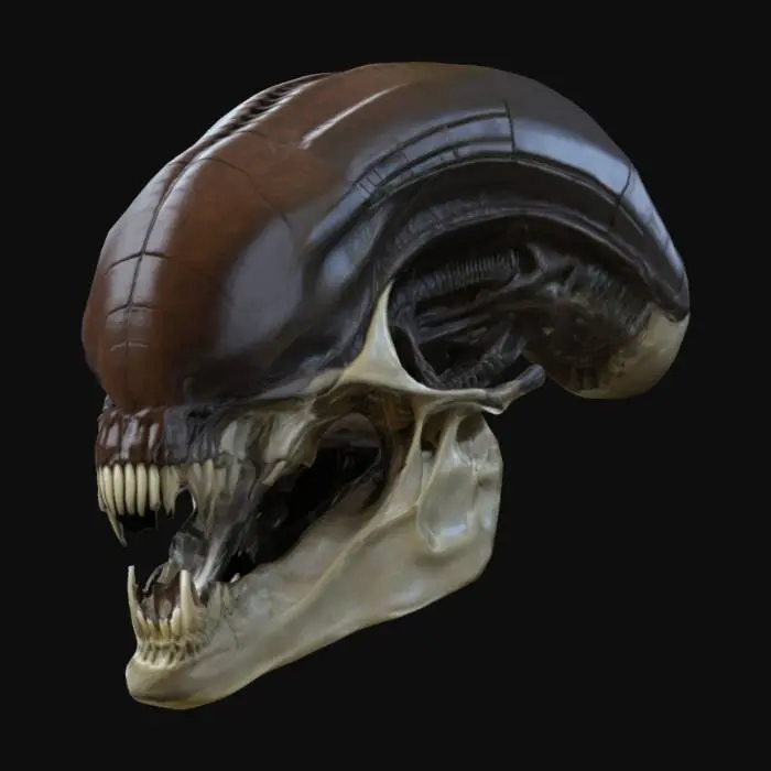 3D model for Medium poly xenomorph skull
