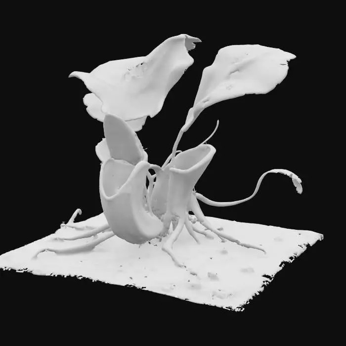 3D model for Venus flytrap monster 