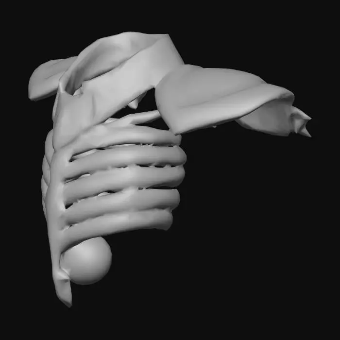 3D model for Meshy_AI_Ribcage_Armor_Design_0131201405_generate