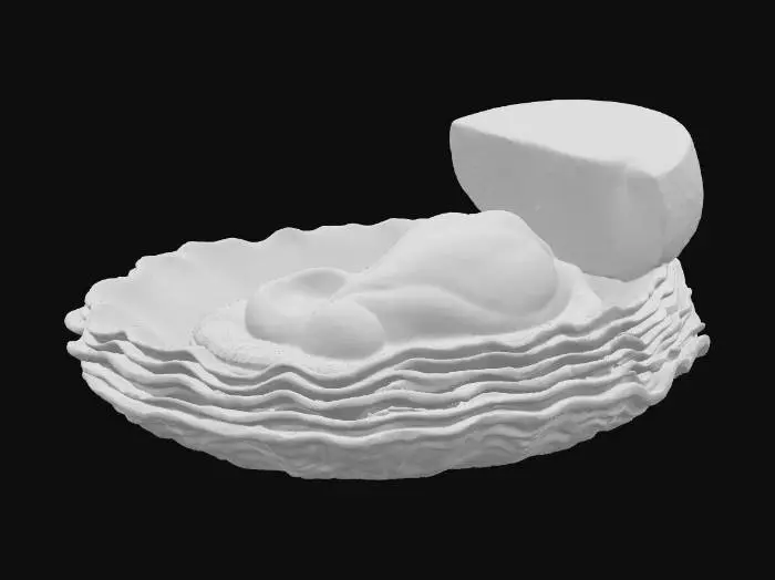 3D model for Oyster Delight