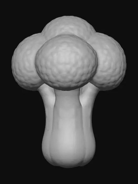 3D model for Broccoli Delight
