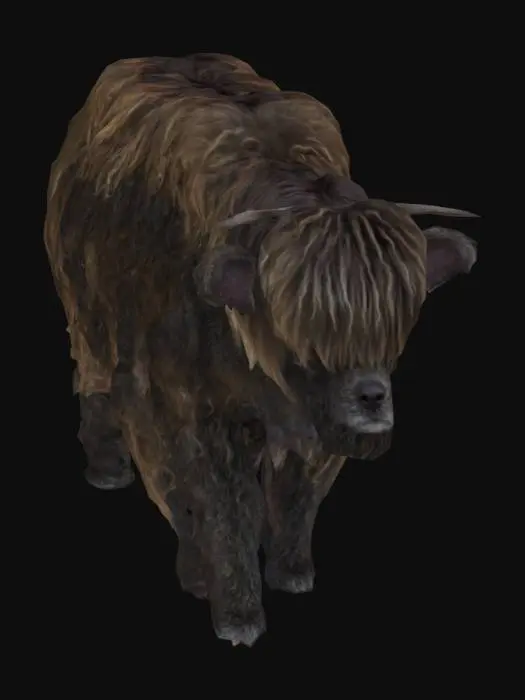 3D model for Highland Wanderer