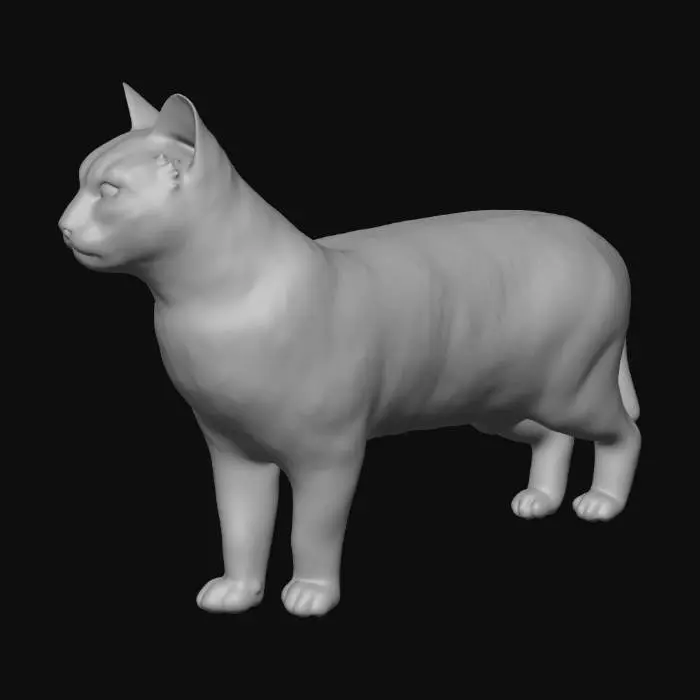 3D model for Night Stroll