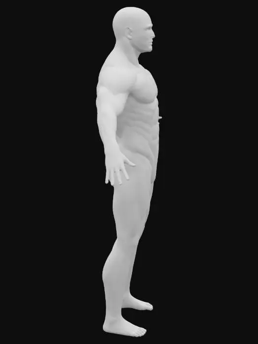 3D model for BUFF BALD MALE