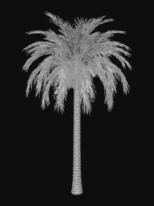 3D model for date-palm